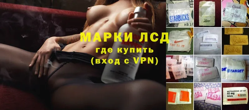 Лсд 25 экстази ecstasy  как найти закладки  Болотное 